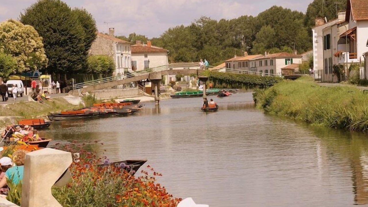Photo of Others in Vasles