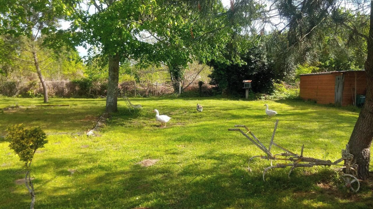 Photo of Outdoor in Pouydesseaux