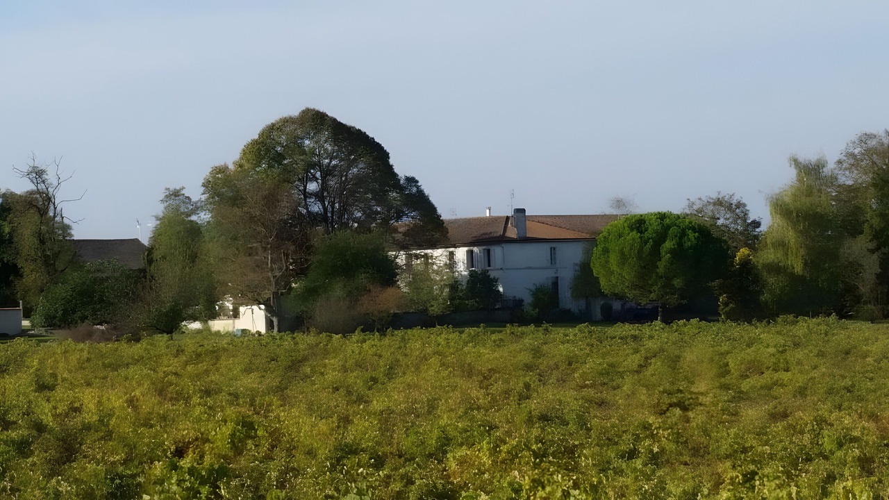 Photo of Others in Reaux
