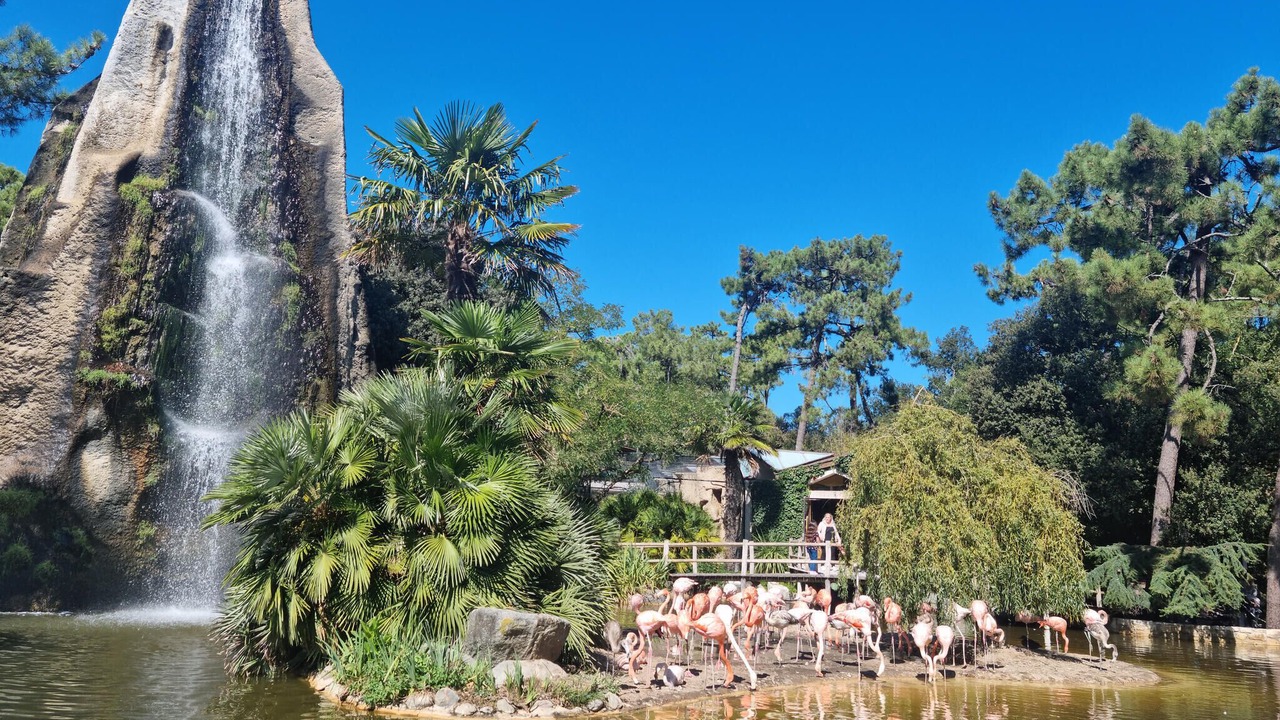 Photo of Others in La Cotiniere