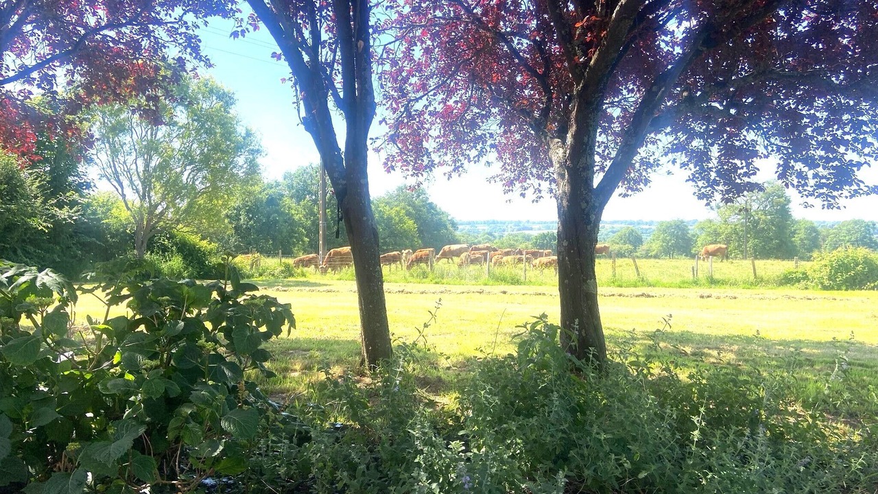 Photo of Others in Thollet