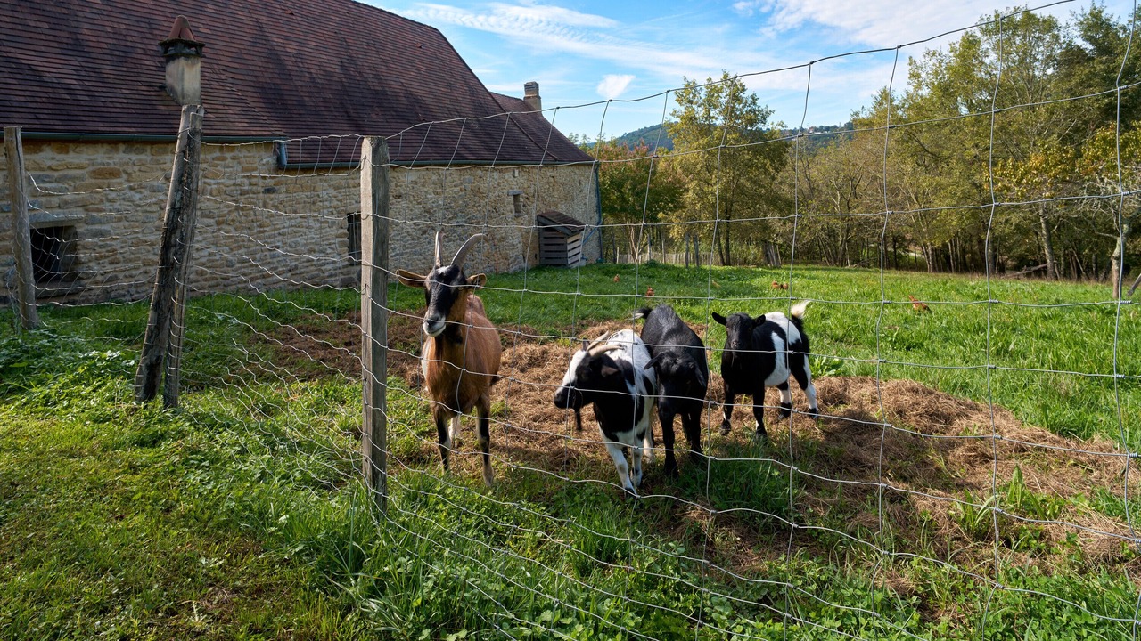 Photo of Others in Bigaroque