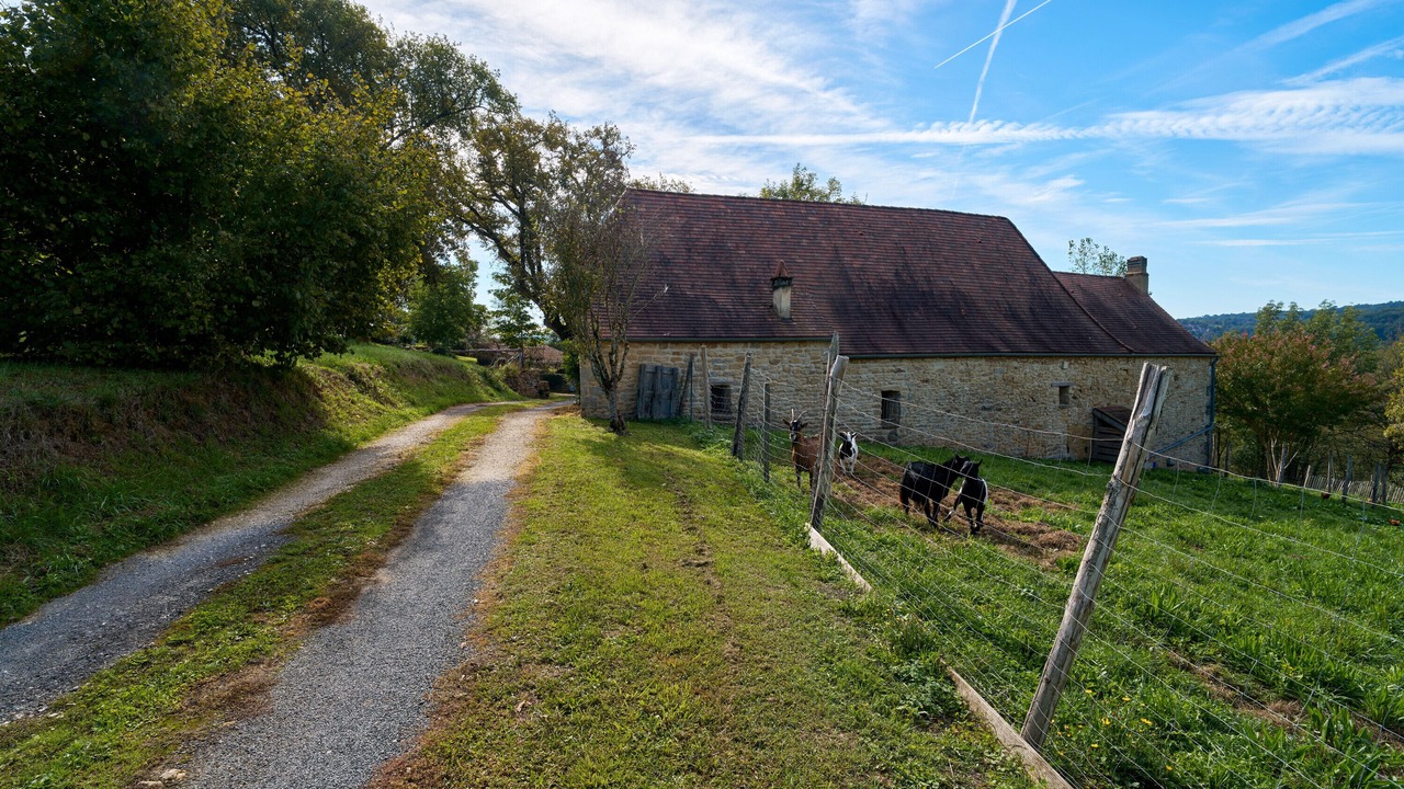 Photo of Others in Bigaroque