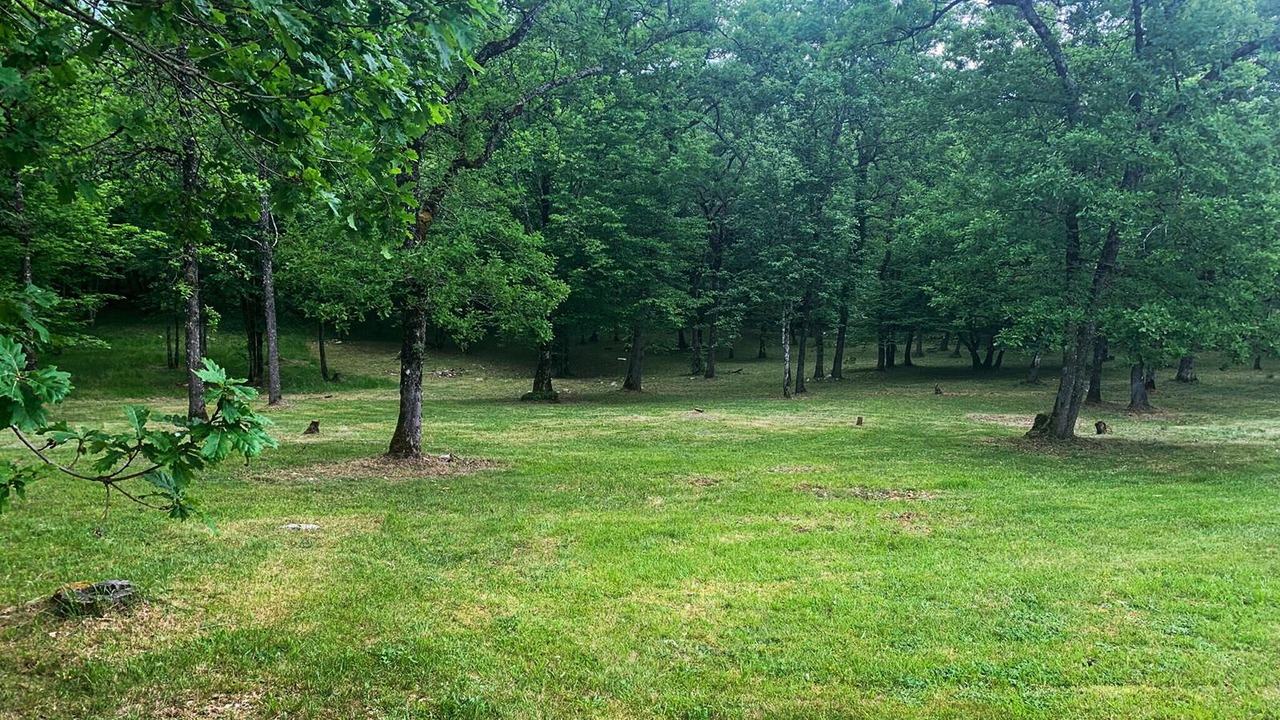 Photo of Others in Sarliac-sur-l'Isle