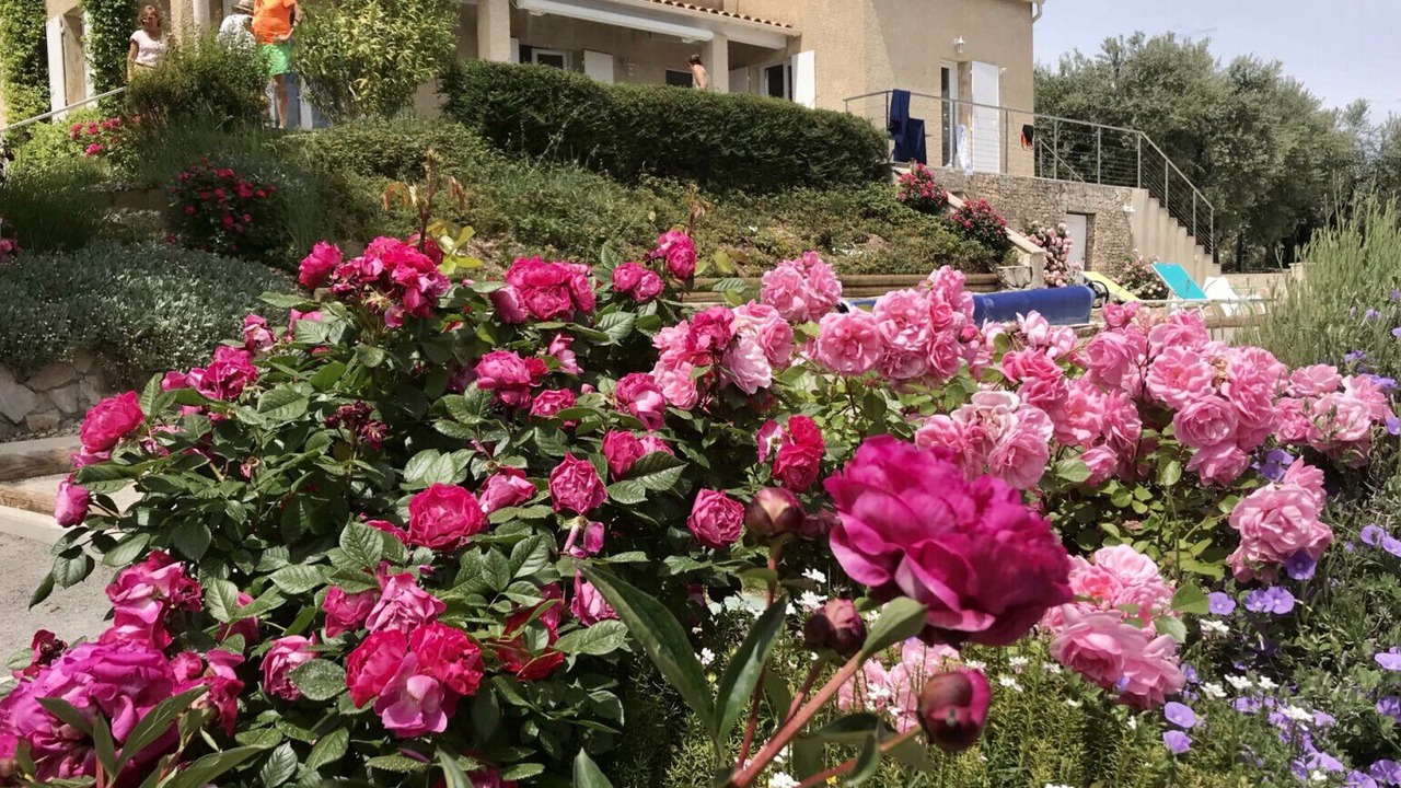 Photo of Outdoor in Volx
