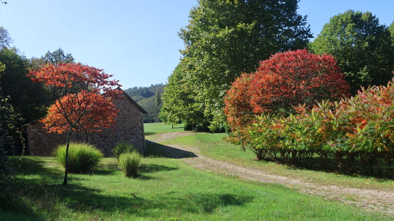 Photo of Outdoor in Rouffignac-Saint-Cernin-de-Reilhac