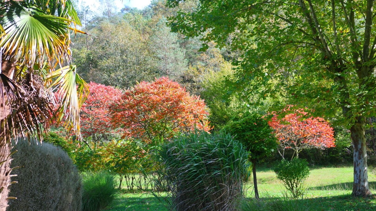 Photo of Outdoor in Rouffignac-Saint-Cernin-de-Reilhac