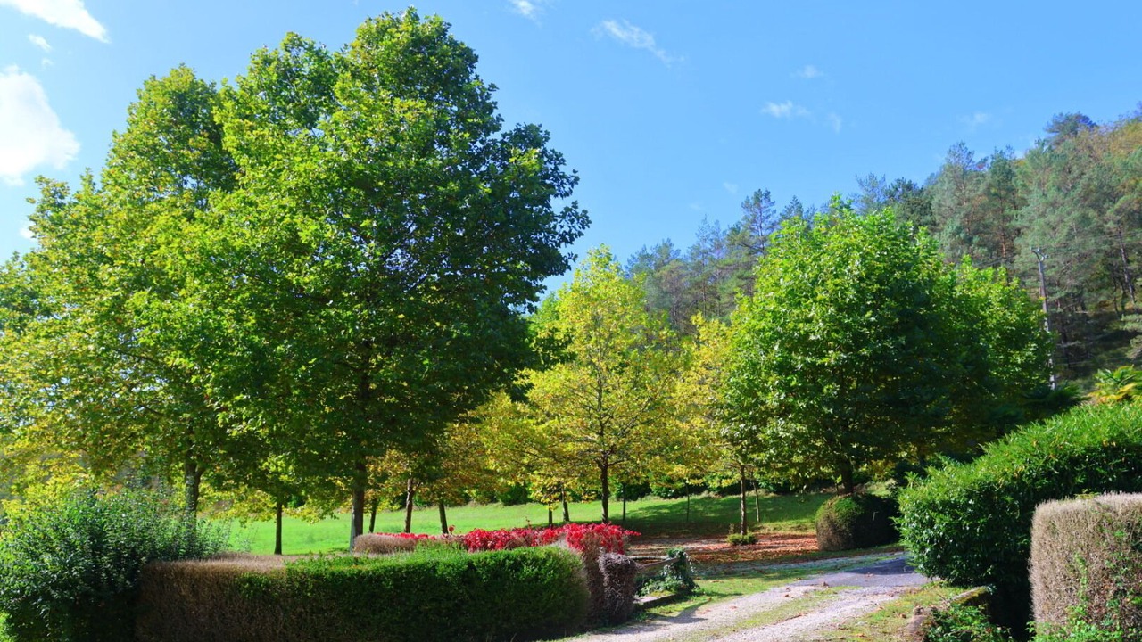 Photo of Outdoor in Rouffignac-Saint-Cernin-de-Reilhac