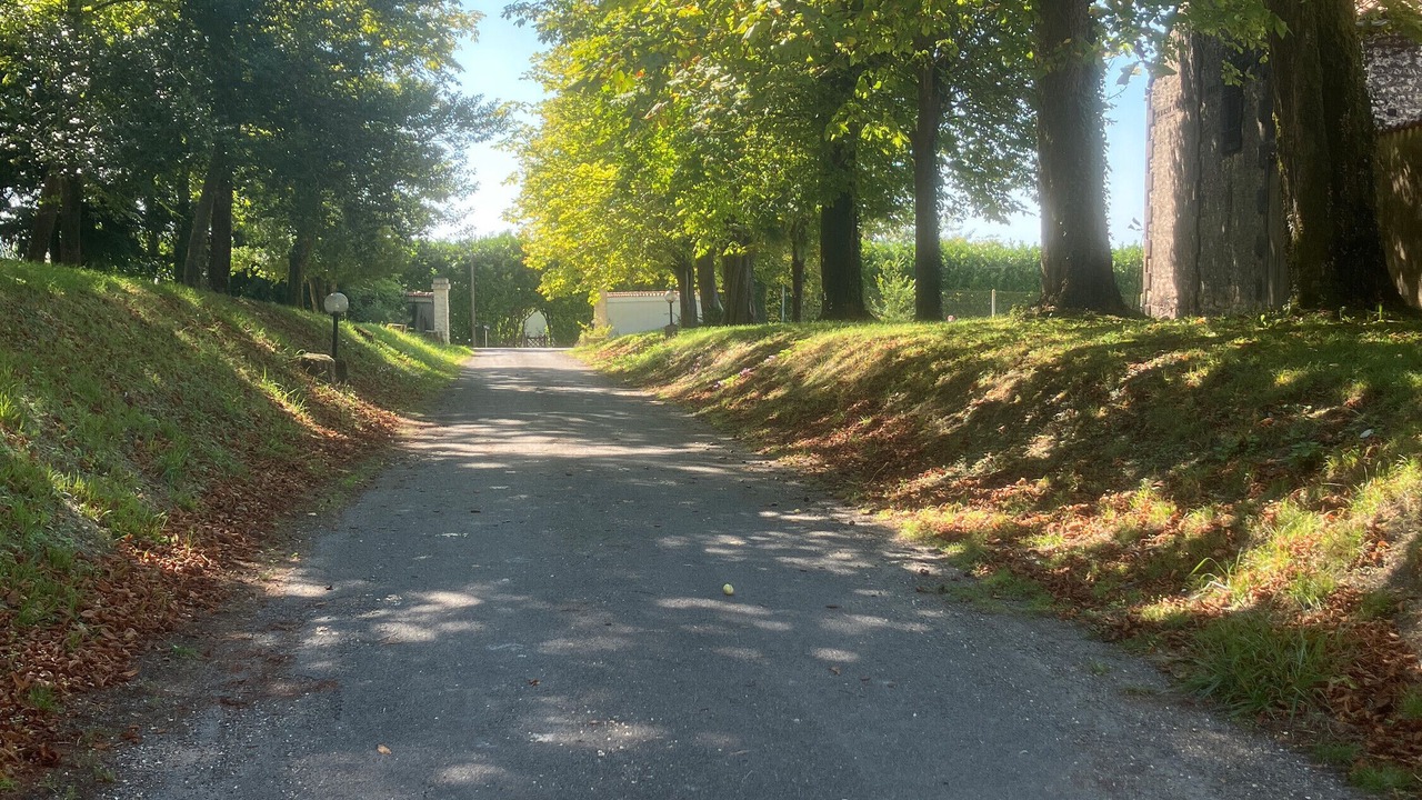 Photo of Others in Segonzac