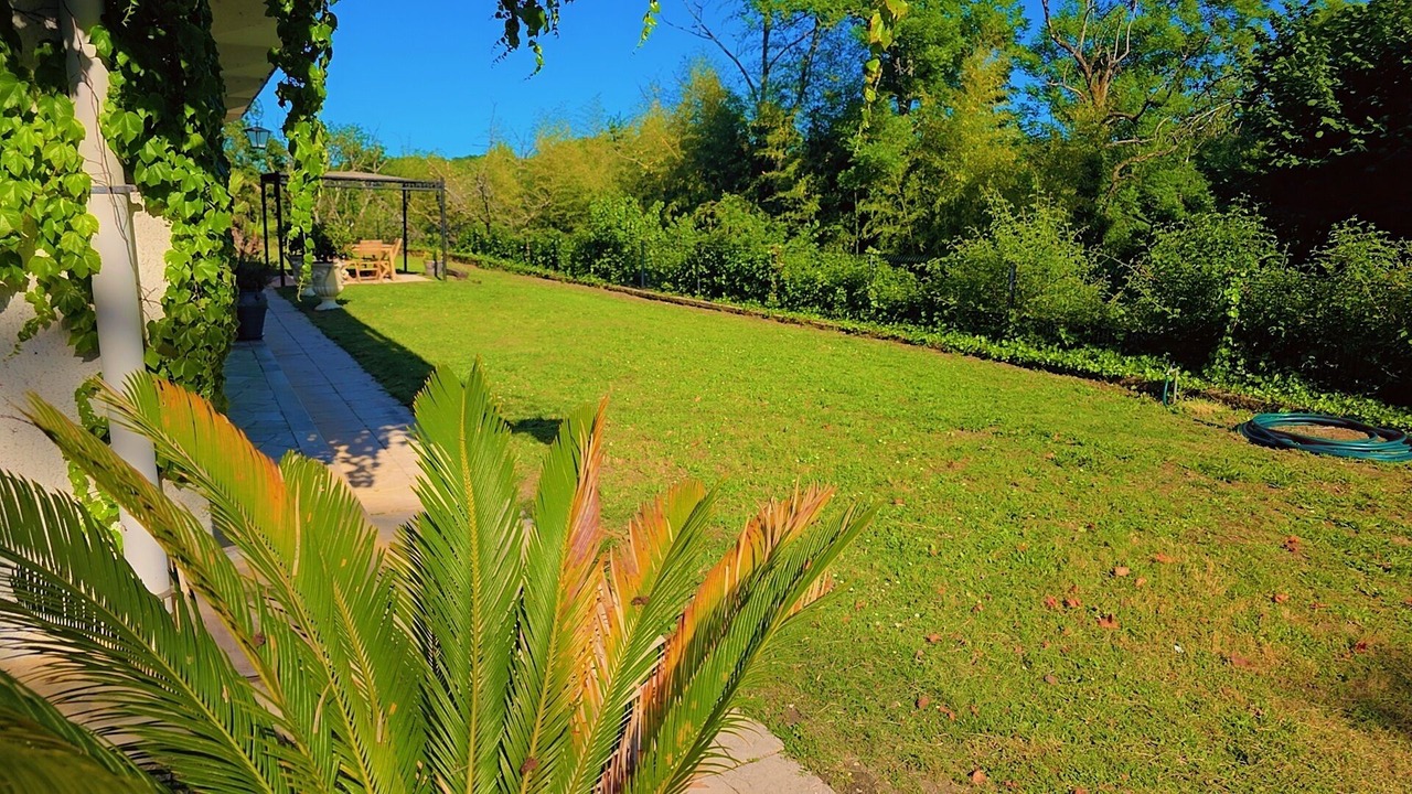 Photo of Outdoor in Feugarolles
