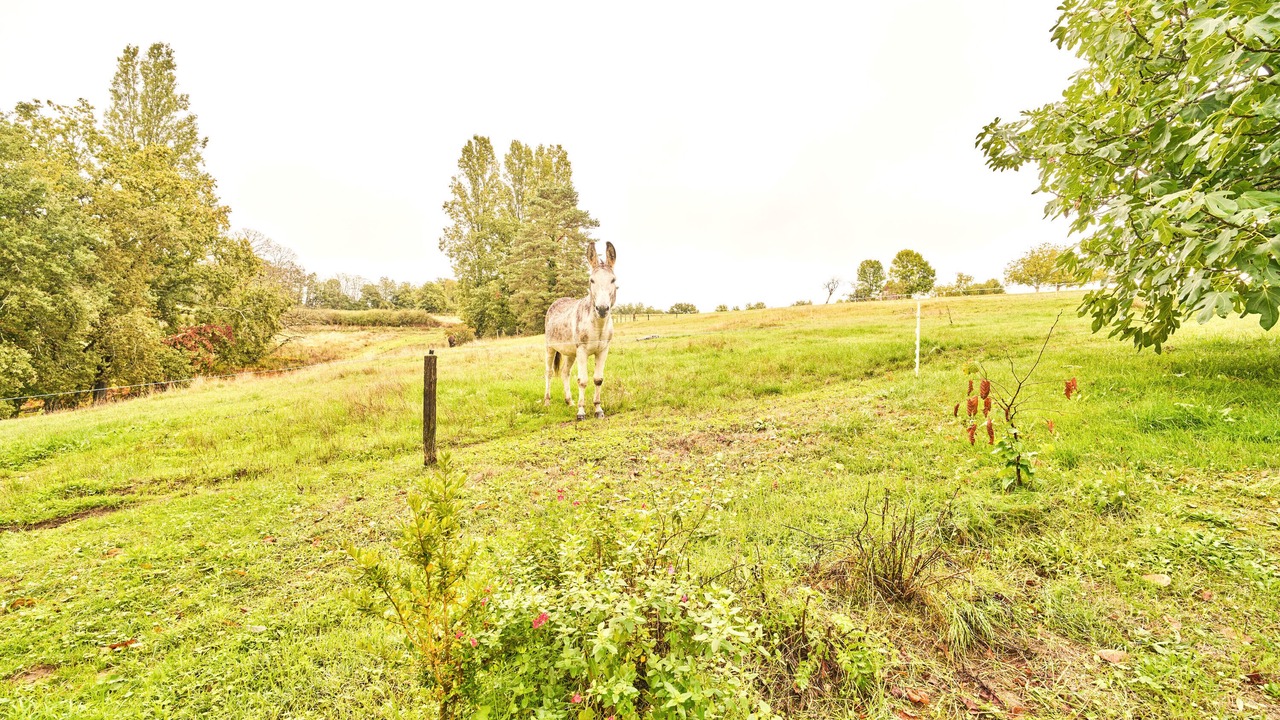 Photo of Others in Saint-Laurent-la-Vallee