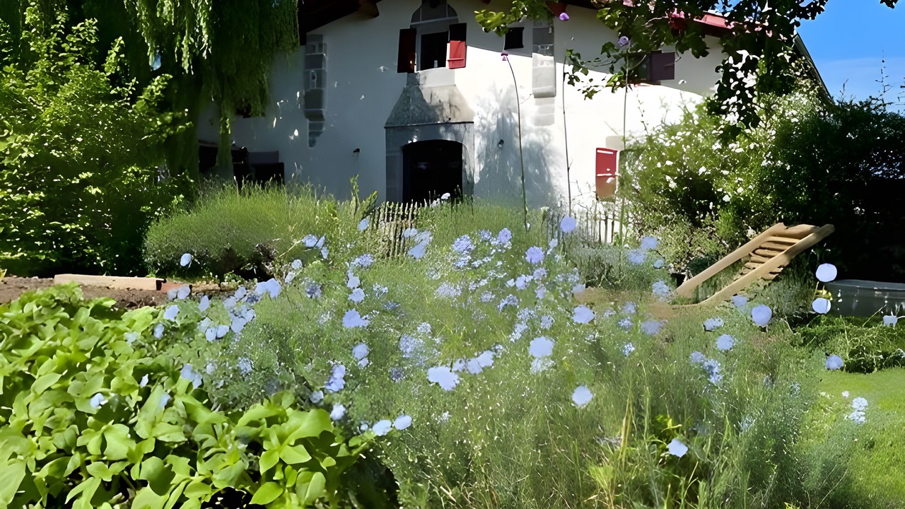 Photo of Outdoor in Iholdy