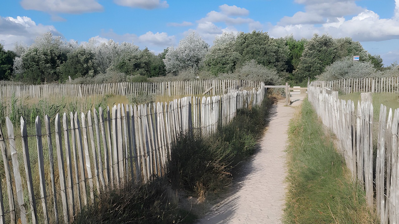 Photo of Others in Saint Nazaire sur Charente