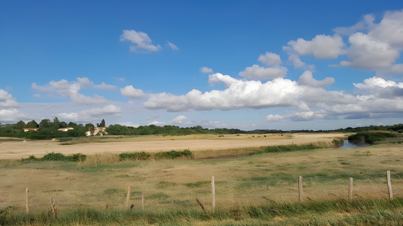 Photo of Others in Saint Nazaire sur Charente