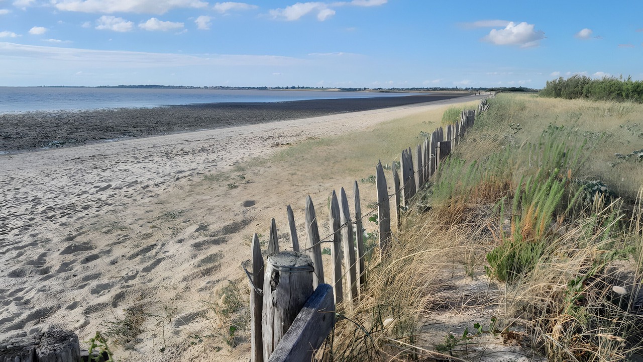 Photo of Others in Saint Nazaire sur Charente
