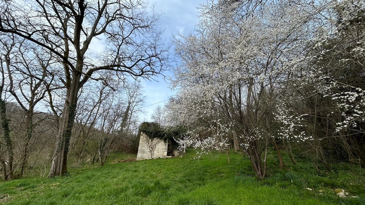 Photo of Others in Pont-du-Casse