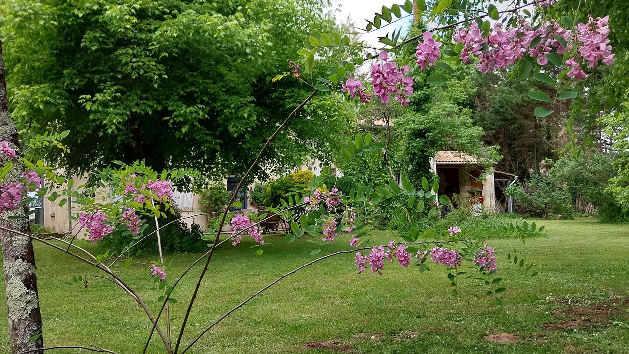 Photo of Outdoor in Saint-Andre-de-Cubzac