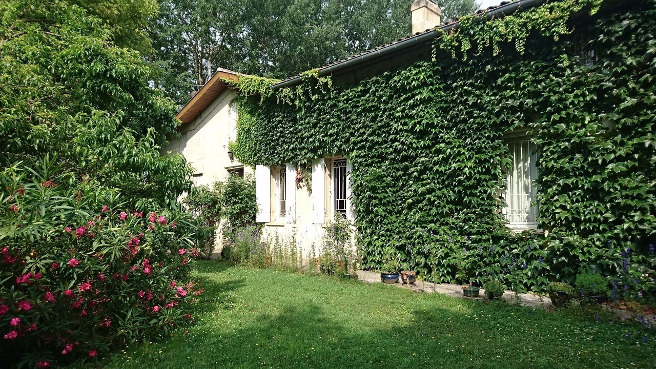 Photo of Outdoor in Saint-Andre-de-Cubzac