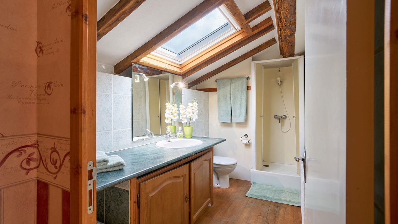 Photo of Bathroom in Saint-Sulpice-de-Roumagnac