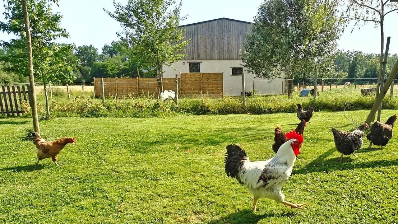 Photo of Outdoor in Coimeres