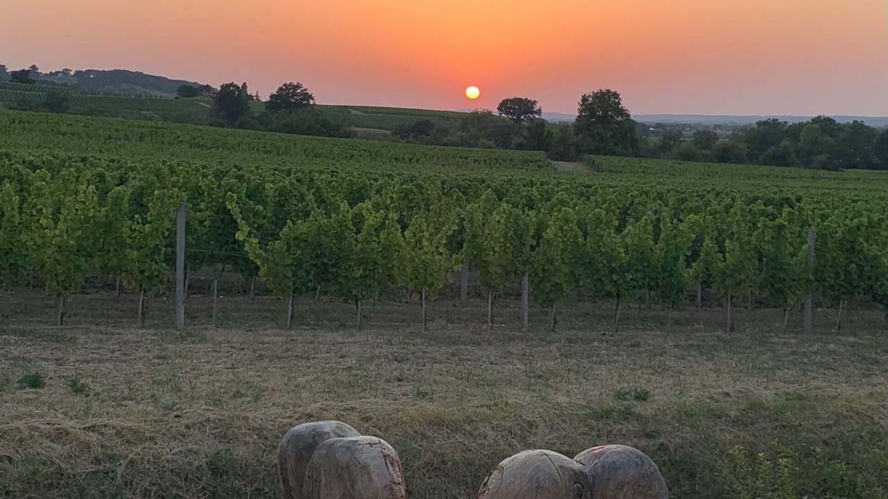 Photo of Others in Monbazillac