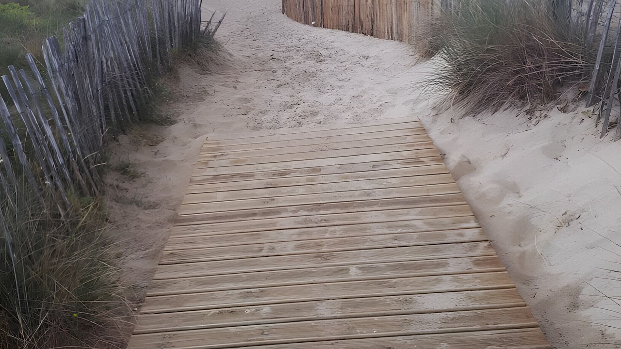 Photo of Others in La Couarde-sur-Mer