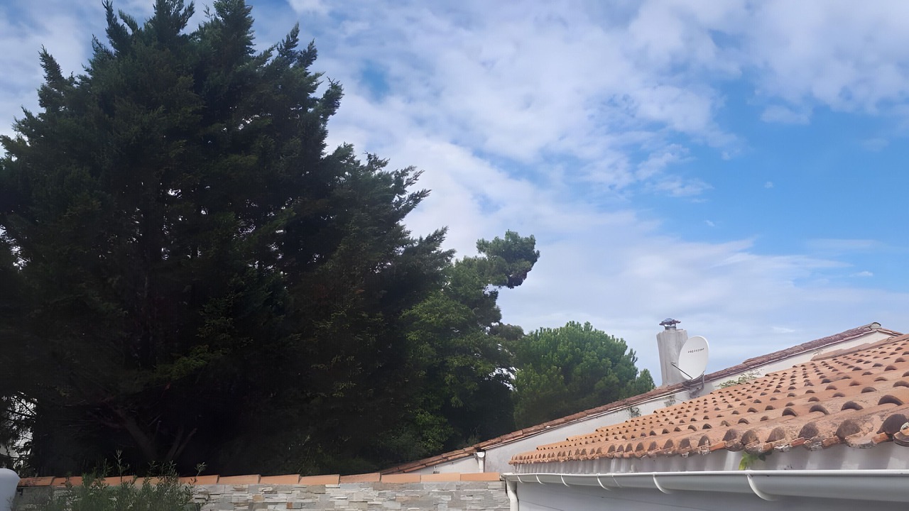 Photo of Others in La Couarde-sur-Mer