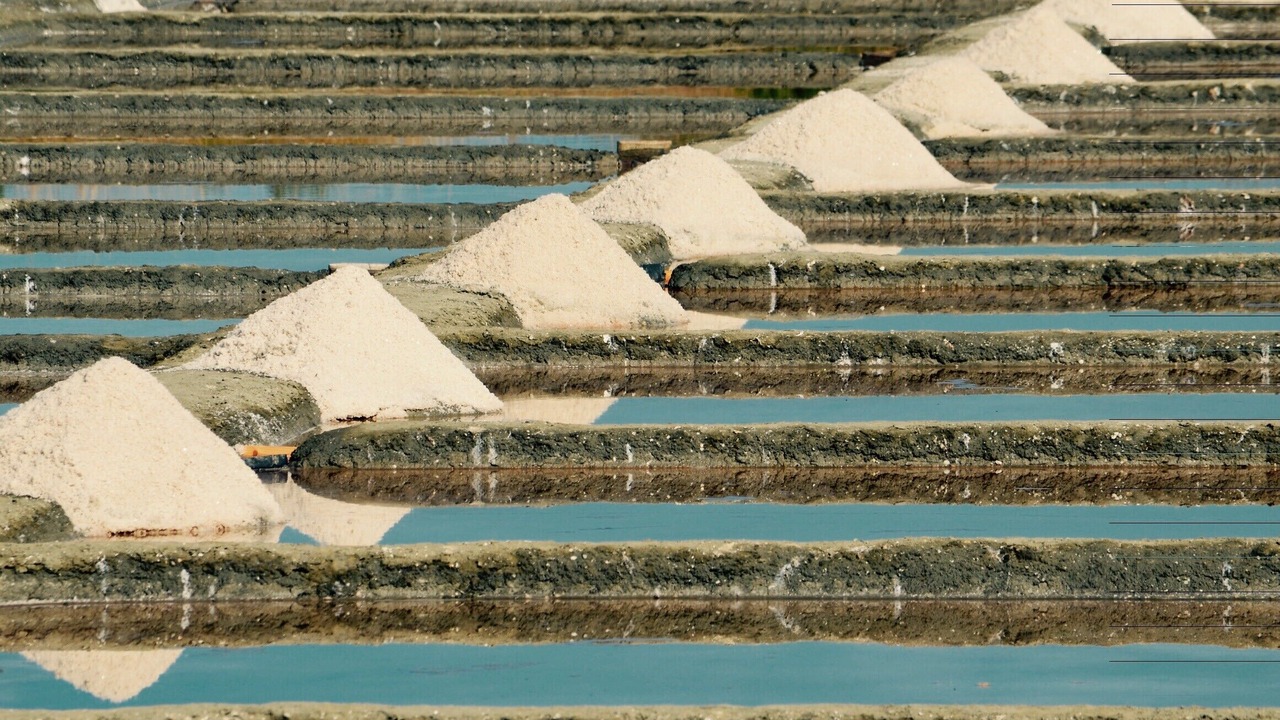 Photo of Others in Ars-en-Re