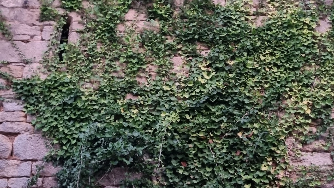 Photo of Others in Beynac-et-Cazenac