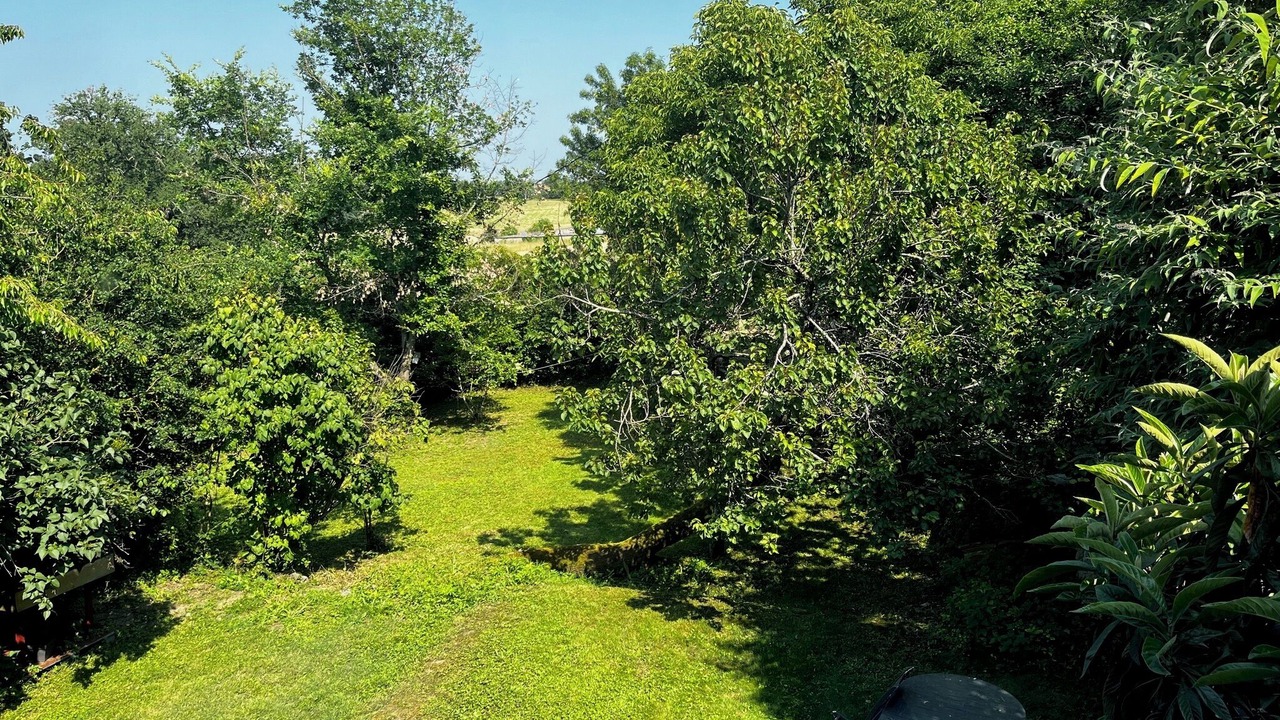 Photo of Outdoor in Pont-du-Casse