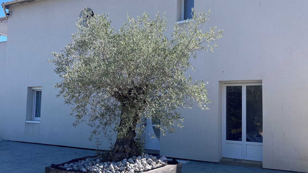 Photo of Outdoor in Bords