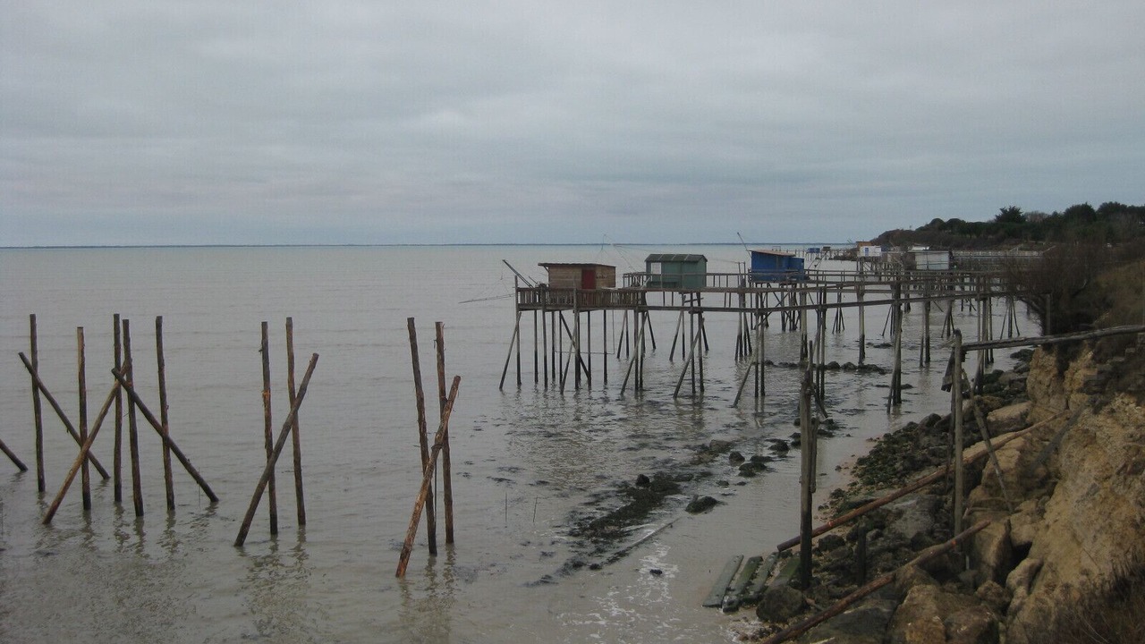 Photo of Others in Saint Nazaire sur Charente