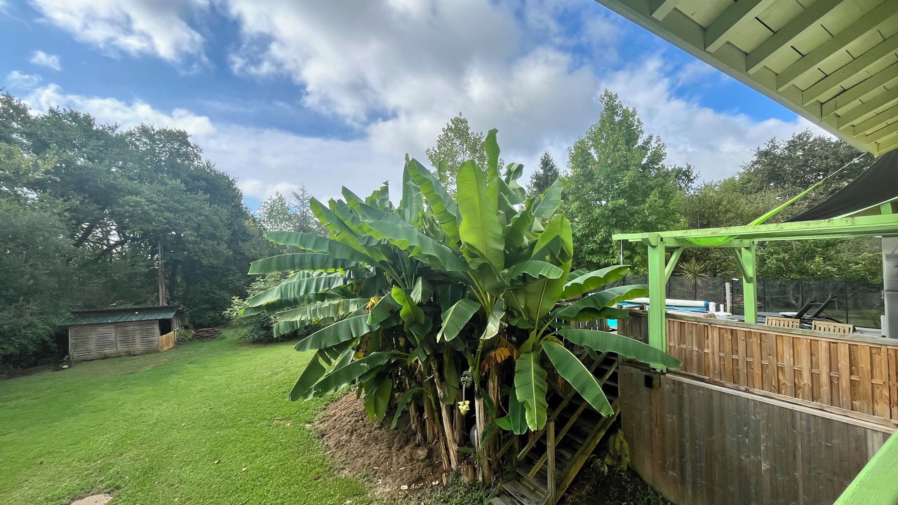 Photo of Outdoor in Saint-Barthelemy