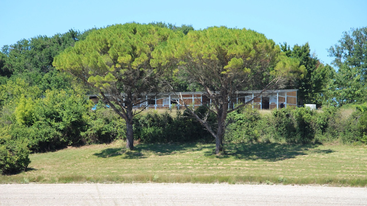 Photo of Outdoor in Barzan