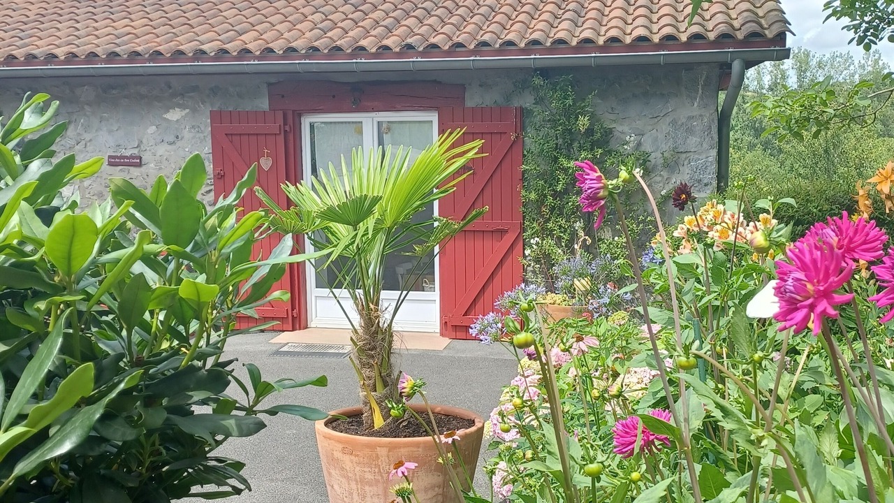 Photo of Outdoor in Saint-Esteben
