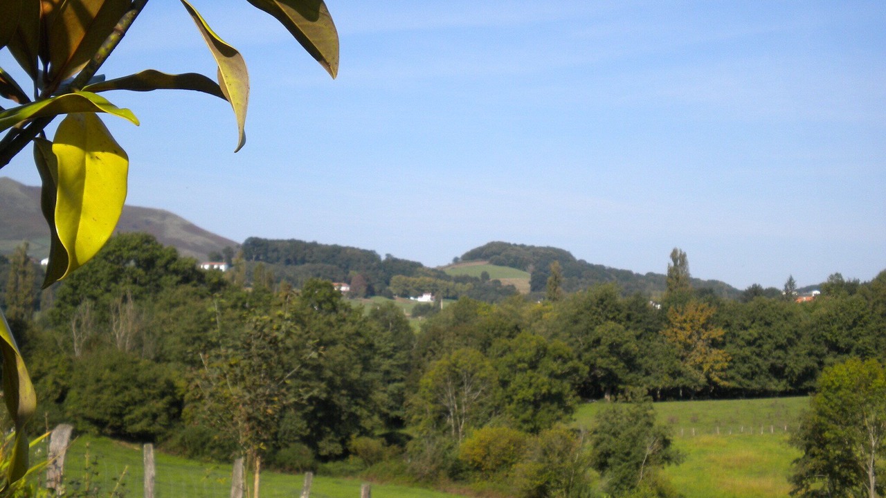 Photo of Others in Saint-Esteben