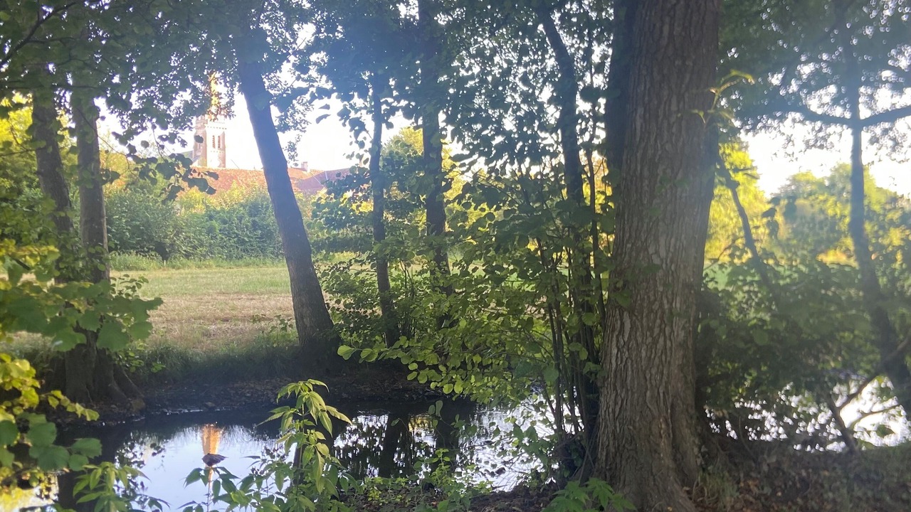 Photo of Outdoor in Journet