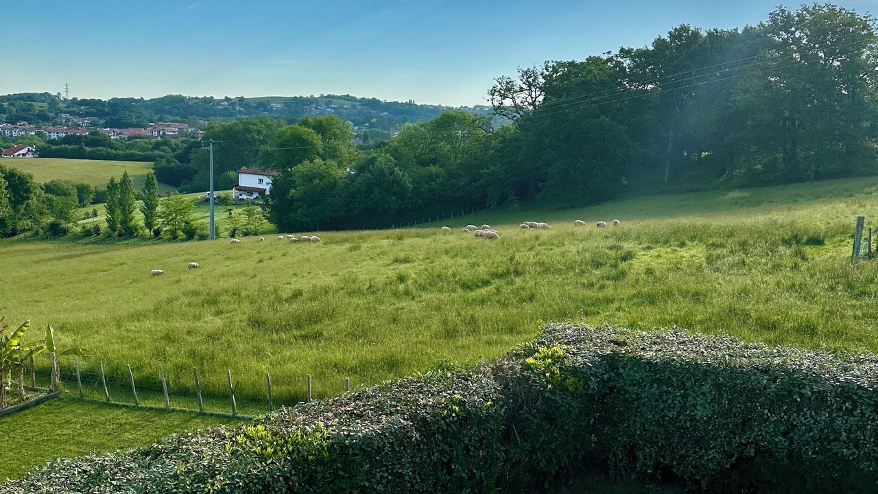 Photo of Outdoor in Saint-Pierre-d'Irube