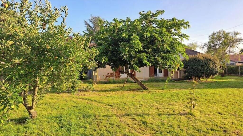 Photo of Outdoor in Le Teich