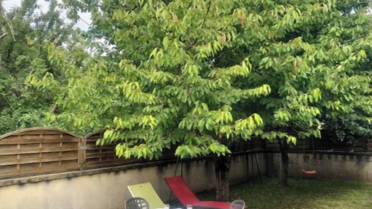 Photo of Outdoor in Saint-Cyprien