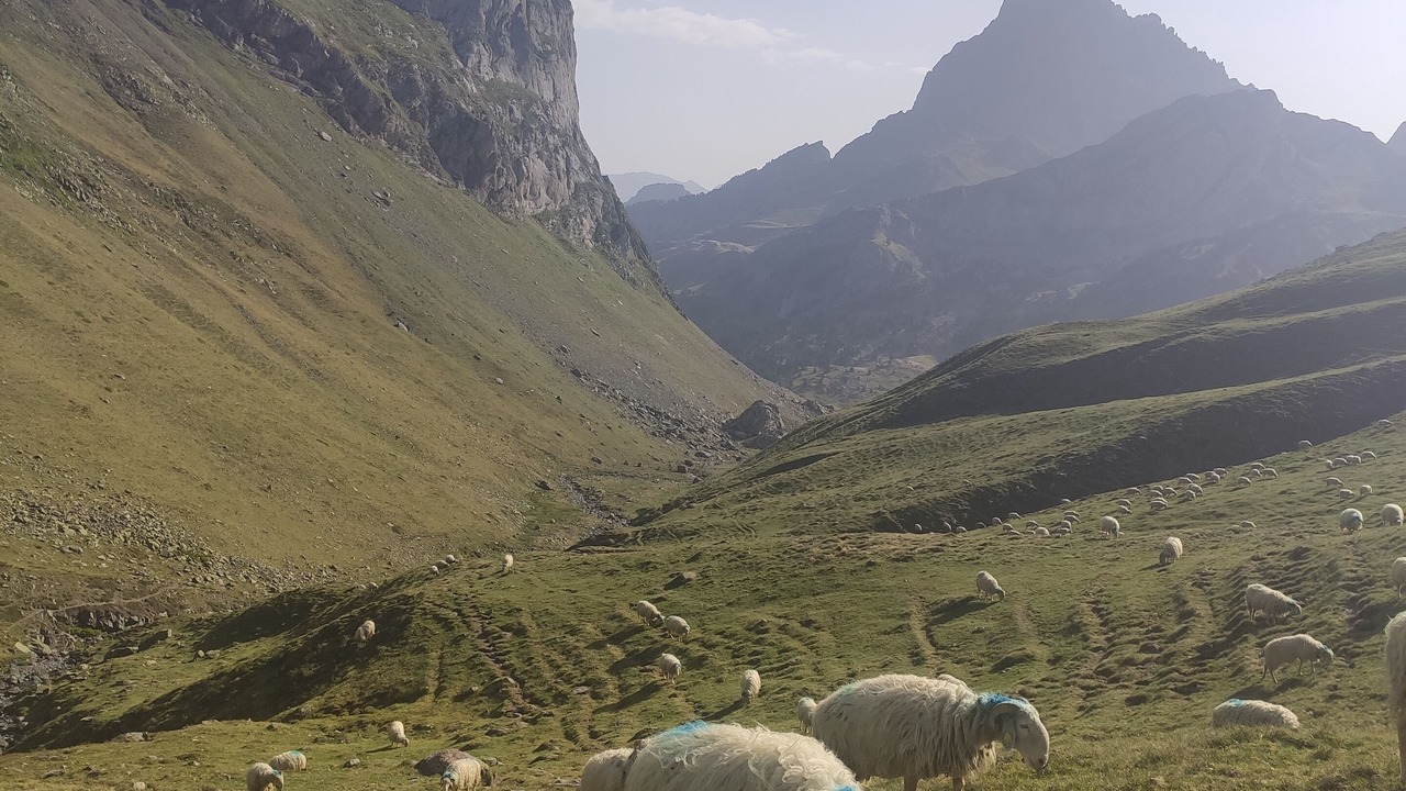 Photo of Others in Gere-Belesten