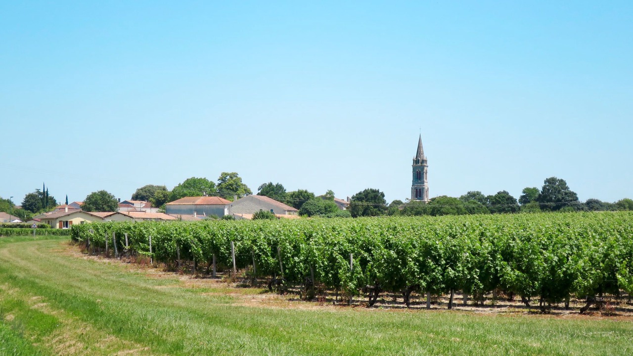 Photo of Others in Civrac-en-Medoc