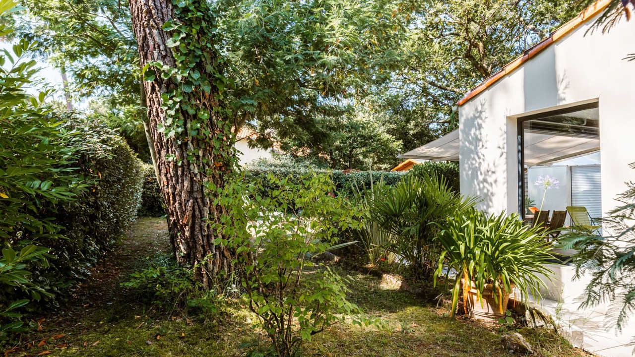 Photo of Outdoor in Ronce-les-Bains