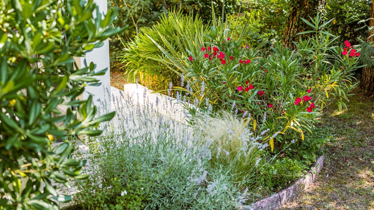 Photo of Outdoor in Ronce-les-Bains