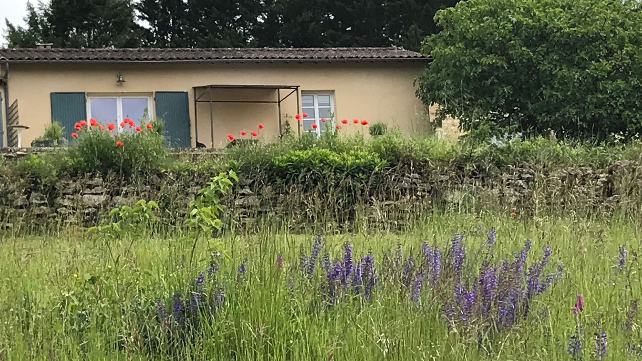 Photo of Outdoor in Sainte-Alvere