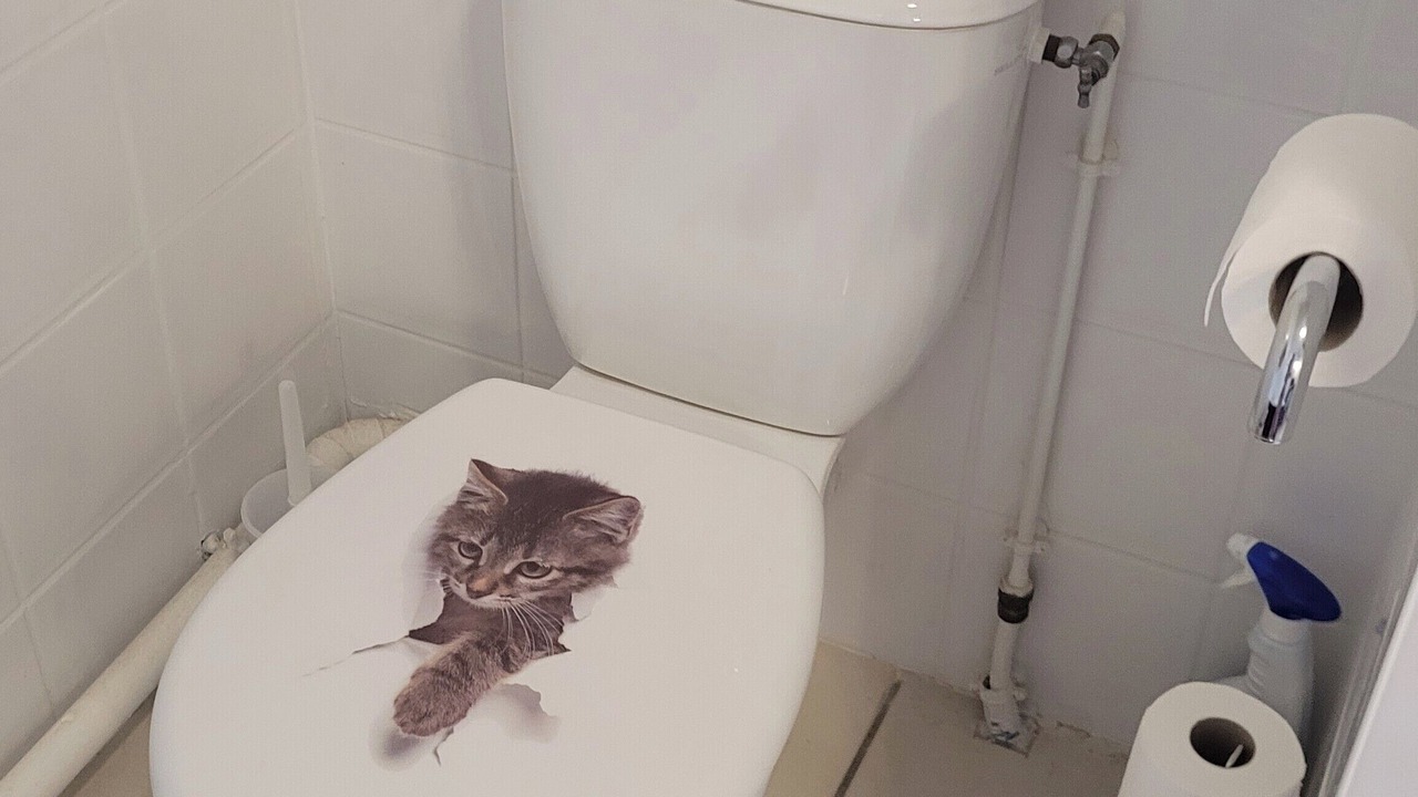 Photo of Bathroom in La Roche-Posay