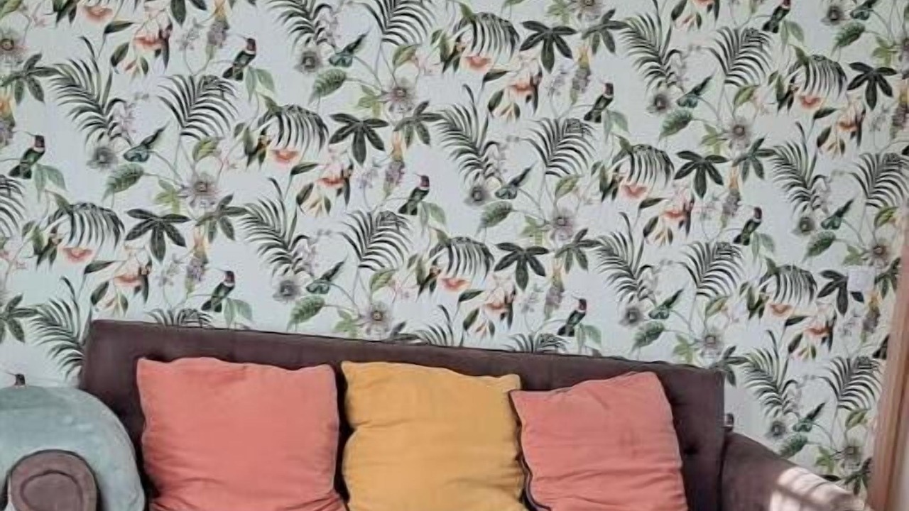 Photo of Livingroom in Oloron-Sainte-Marie