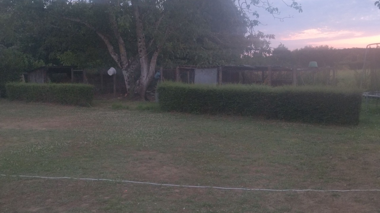 Photo of Outdoor in Thenezay