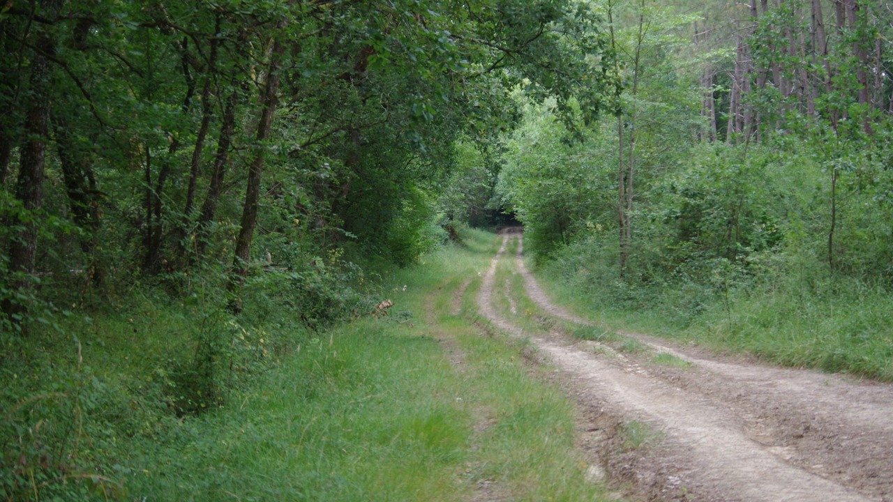 Photo of Others in Lavardac