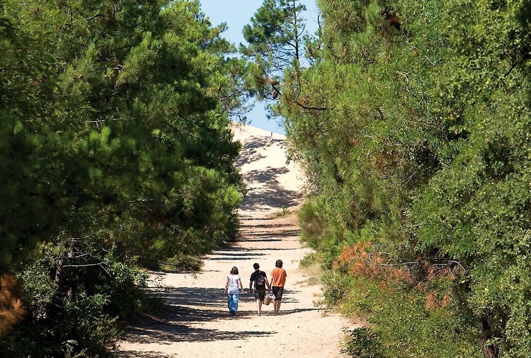 Photo of Others in Ronce-les-Bains